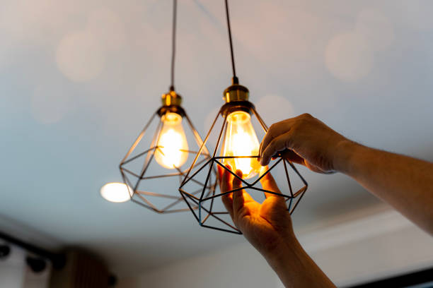 Best Industrial Electrical Services  in Elgin, IL